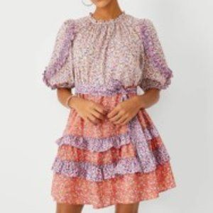 Ann Taylor Floral Ruffle Flare Dress